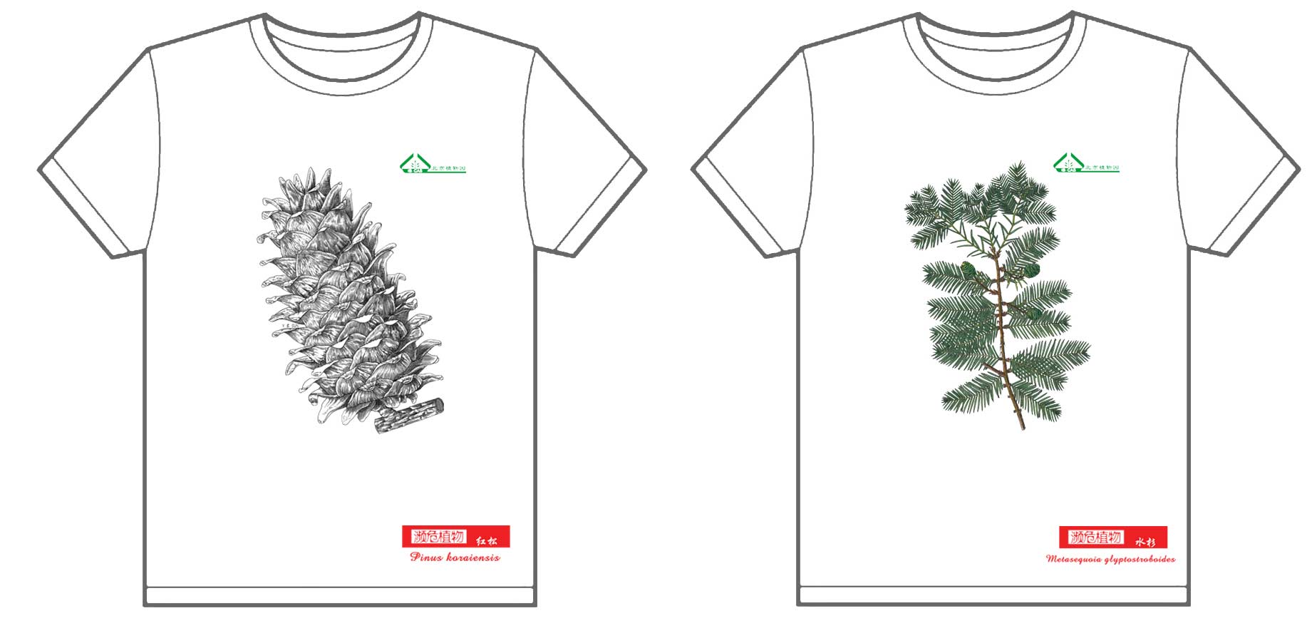 北京植物园濒危植物2012年文化衫